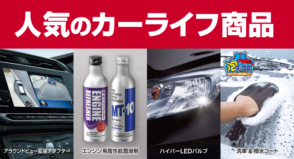 日産自動車販売株式会社 オリジナルプログラム