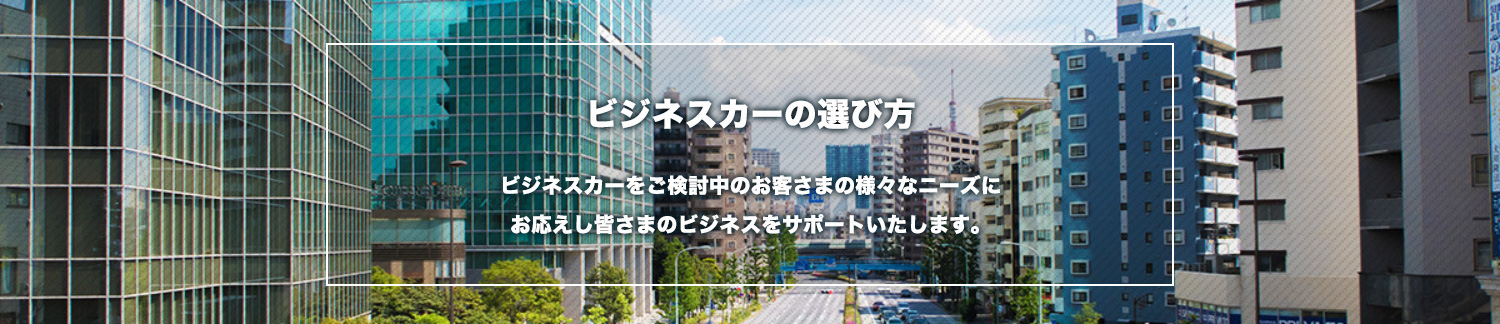 日産自動車販売株式会社 ビジネスカー